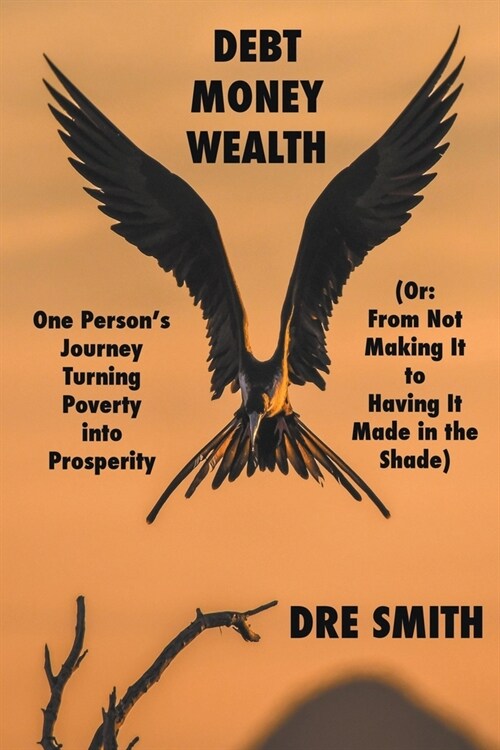 Debt, Money, Wealth (Paperback)