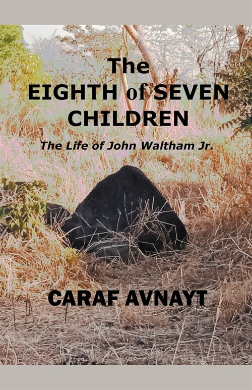 The Eighth of Seven Children (Paperback)