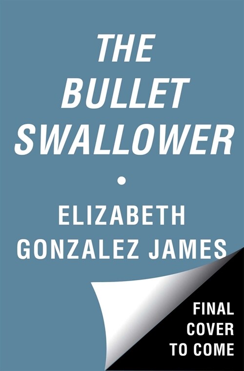 The Bullet Swallower (Hardcover)