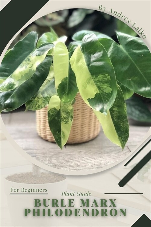Burle Marx Philodendron: Prodigy Petal, Plant Guide (Paperback)