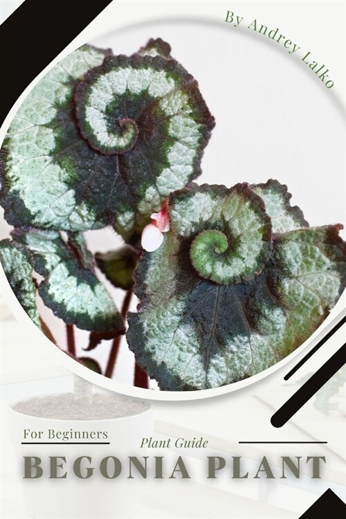 Begonia Plant: Prodigy Petal, Plant Guide (Paperback)