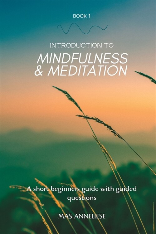 Introduction to Mindfulness and Meditation - Book 1: A short beginners guide with guided questions (Paperback)