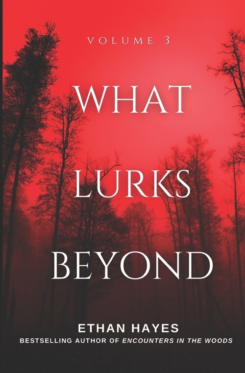 What Lurks Beyond: Volume 3 (Paperback)