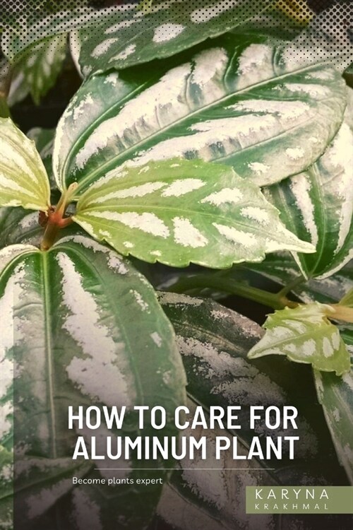 How to Care For Aluminum Plant: Become plants expert (Paperback)