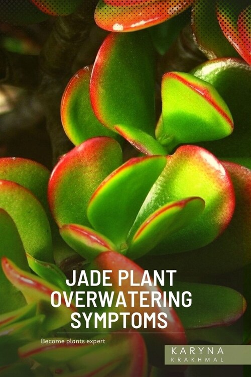 Jade Plant Overwatering Symptoms: Become plants expert (Paperback)