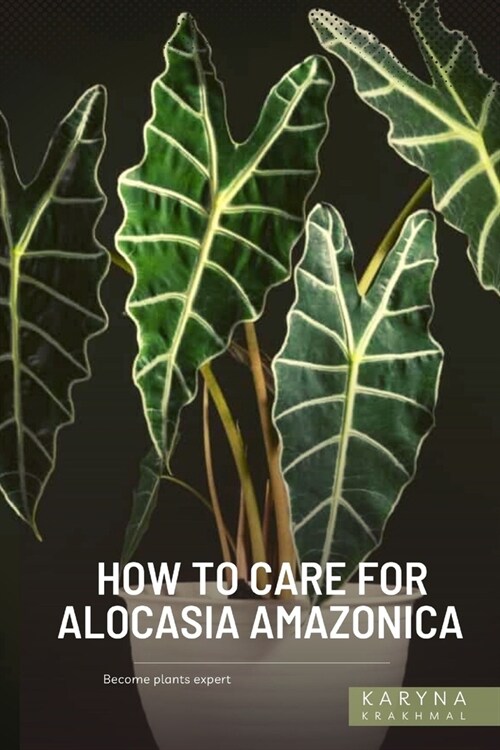 How to Care For Alocasia Amazonica: Become plants expert (Paperback)