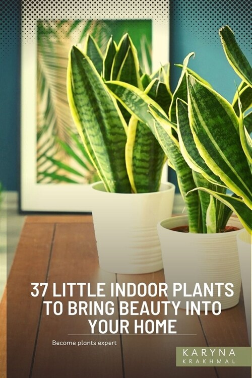 37 Little Indoor Plants to Bring Beauty Into Your Home: Become plants expert (Paperback)