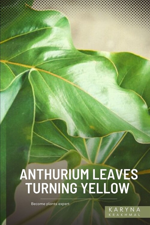 Anthurium Leaves Turning Yellow: Become plants expert (Paperback)