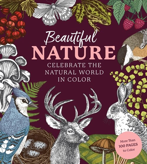 Beautiful Nature Coloring Book: A Coloring Book to Celebrate the Natural World - More Than 100 Pages to Color (Paperback)