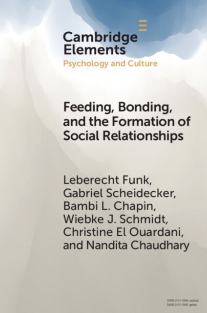 Feeding, Bonding, and the Formation of Social Relationships : Ethnographic Challenges to Attachment Theory and Early Childhood Interventions (Paperback)