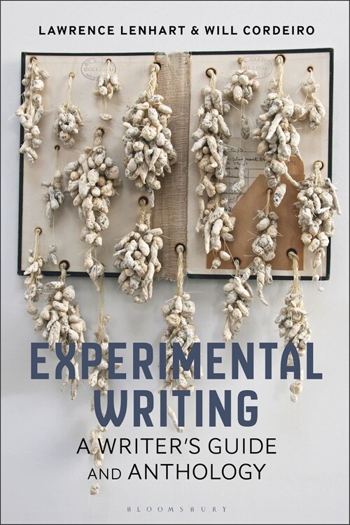 Experimental Writing : A Writers Guide and Anthology (Paperback)