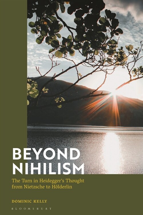 Beyond Nihilism : The Turn in Heidegger’s Thought from Nietzsche to Holderlin (Paperback)