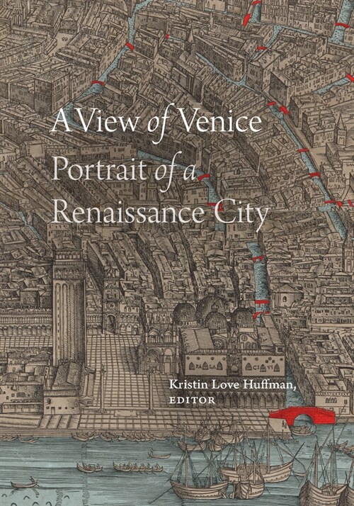 A View of Venice: Portrait of a Renaissance City (Hardcover)