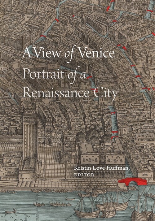 A View of Venice: Portrait of a Renaissance City (Paperback)