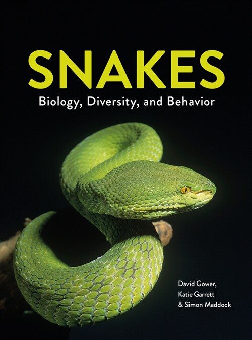 Snakes: Biology, Diversity, and Behavior (Paperback)