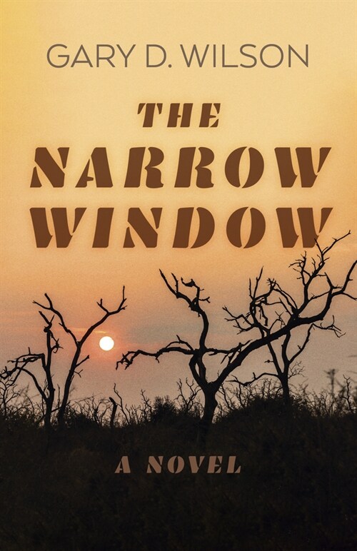 Narrow Window, The – A Novel (Paperback)