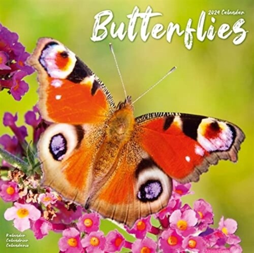 Butterflies Calendar 2024  Square Butterfly Wall Calendar - 16 Month (Calendar)