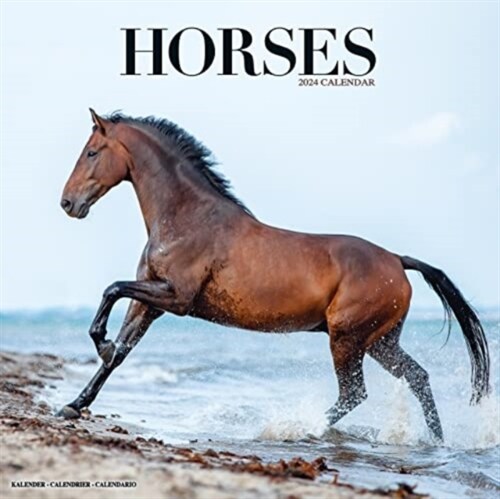 Horses Calendar 2024  Square Horses Wall Calendar - 16 Month (Calendar)