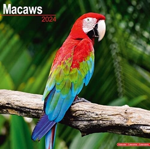 Macaws Calendar 2024  Square Bird Wall Calendar - 16 Month (Calendar)
