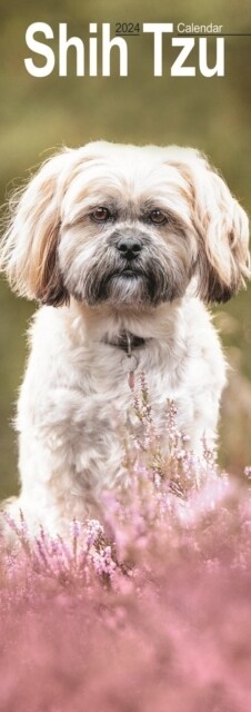 Shih Tzu Slim Calendar 2024  Dog Breed Slimline Calendar - 12 Month (Calendar)