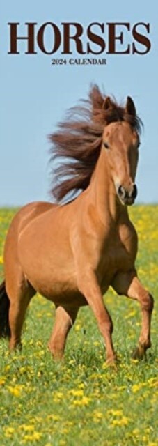 Horses Slim Calendar 2024  Horses Slimline Calendar - 12 Month (Calendar)