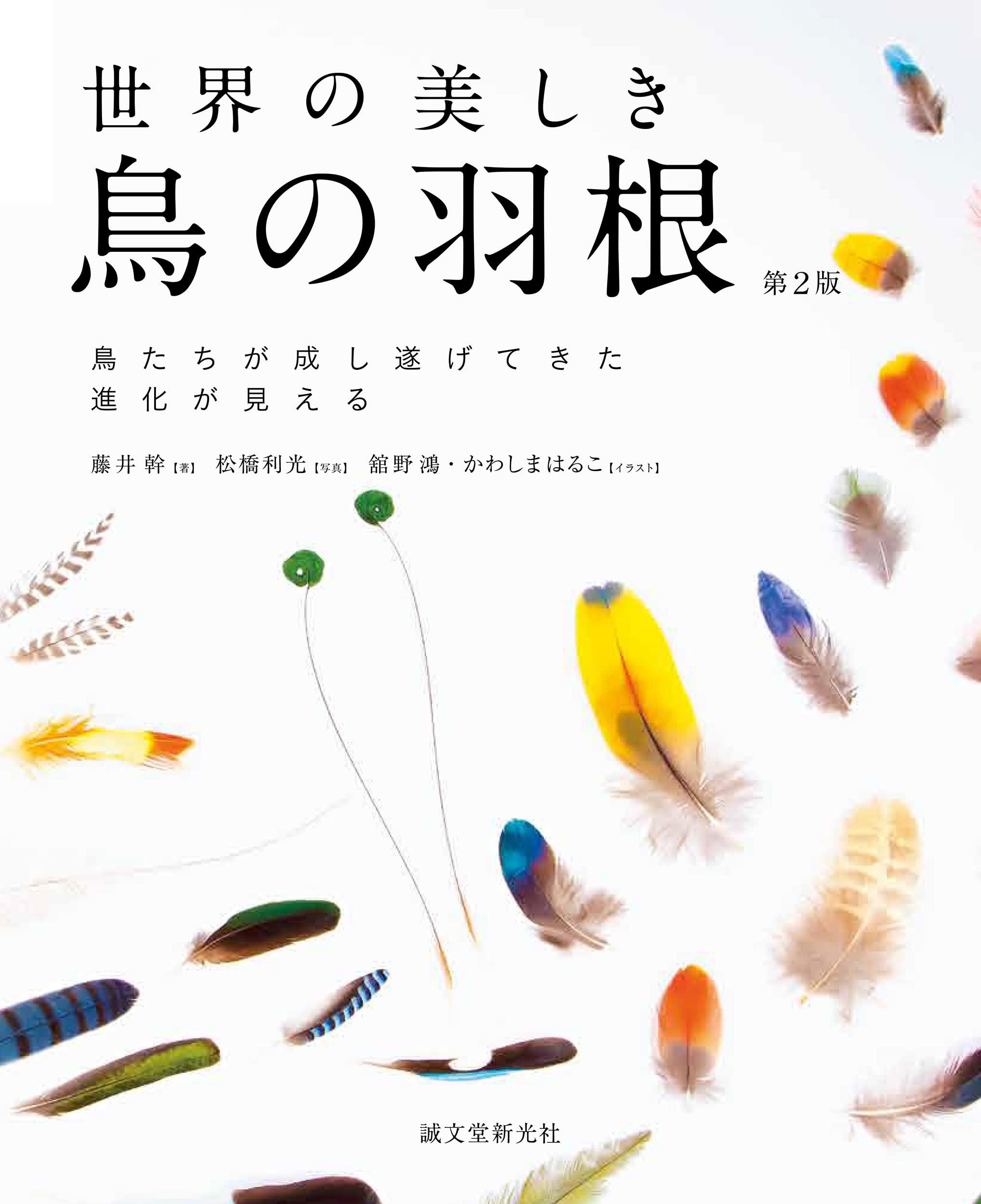 世界の美しき鳥の羽根 第2版: 鳥たちが成し遂げてきた進化が見える