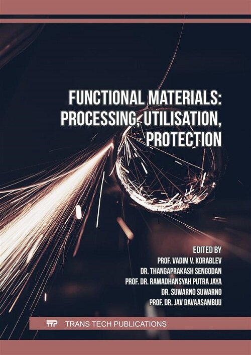 Functional Materials: Processing, Utilisation, Protection (Paperback  )