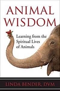 Animal Wisdom: Learning from the Spiritual Lives of Animals (Paperback)