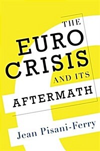 The Euro Crisis and Its Aftermath (Hardcover)