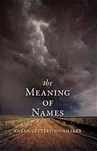 The Meaning of Names (Paperback)