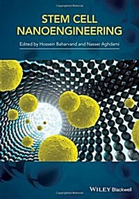 Stem-Cell Nanoengineering (Hardcover)