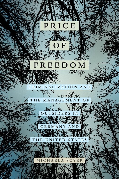 The Price of Freedom: Criminalization and the Management of Outsiders in Germany and the United States (Paperback)