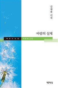 바람의 실체 : 김재용 시집 표지이미지
