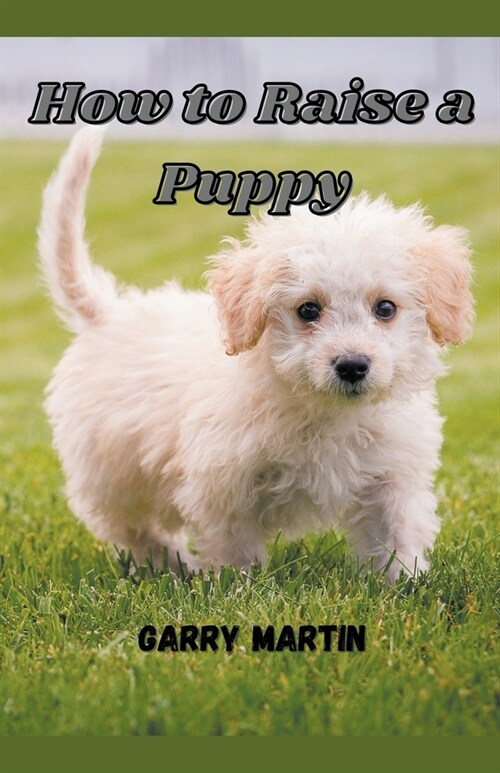 How to Raise a Puppy (Paperback)