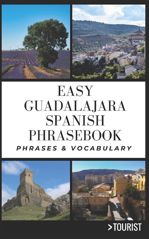 Easy Guadalajara City Spanish Phrasebook: 800+ Easy-to-Use Phrases written by a Local (Paperback)