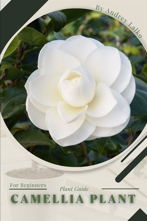 Camellia Plant: Plant Guide (Paperback)