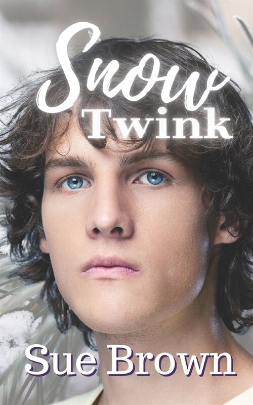 Snow Twink: A Daddy/boy Snow White Retelling (Paperback)