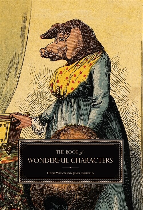 The Book of Wonderful Characters: Memoirs and Anecdotes of Remarkable and Eccentric Persons in All Ages and Countries (Hardcover)