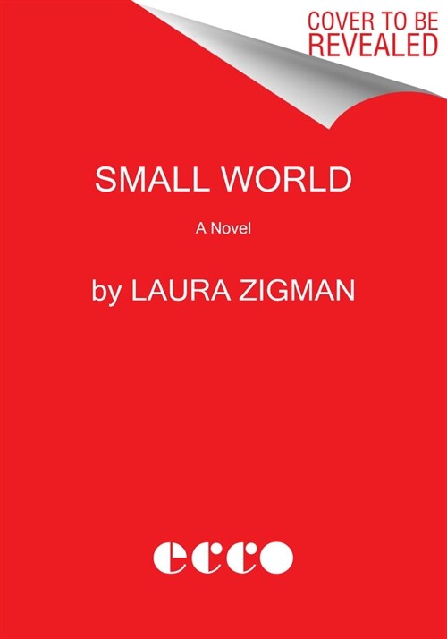 Small World (Paperback)