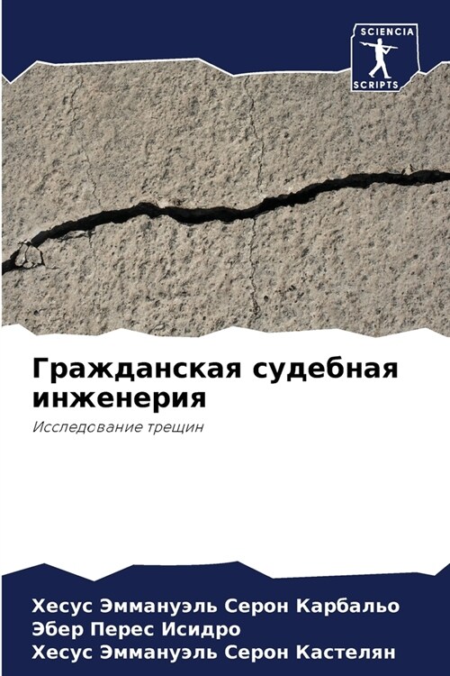 Гражданская судебная ин& (Paperback)