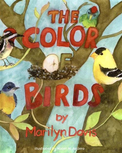 The Color of Birds (Paperback)