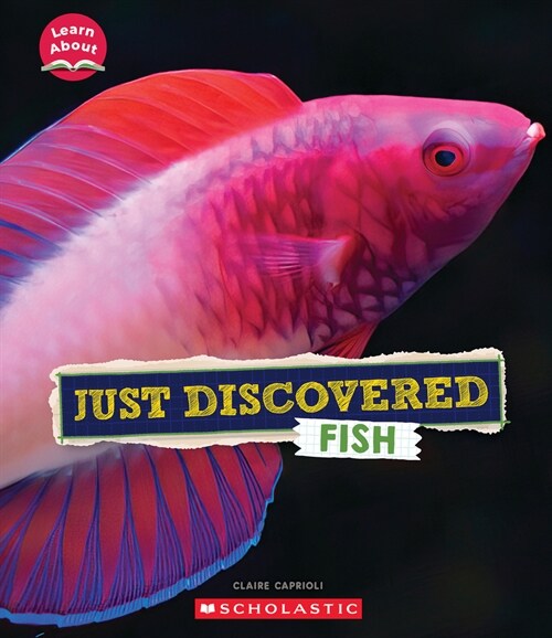 Just Discovered Fish (Learn About: Animals) (Paperback)