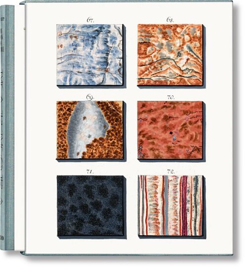 Jan Christiaan Sepp. the Book of Marble (Hardcover)