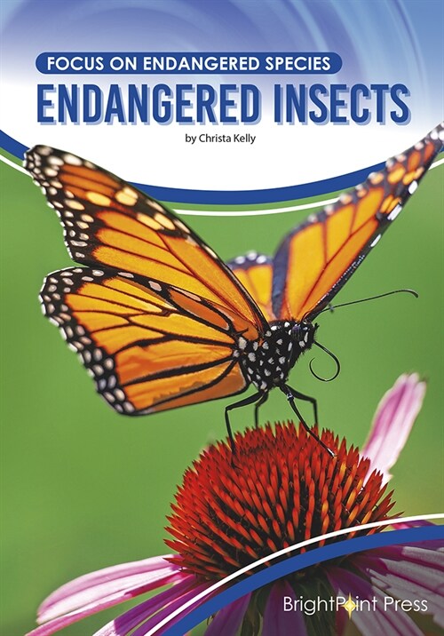 Endangered Insects (Hardcover)