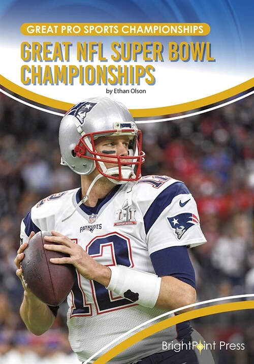 Great NFL Super Bowl Championships (Hardcover)