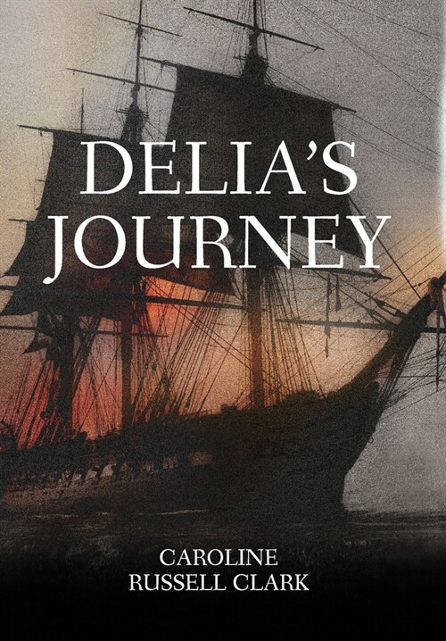 Delias Journey (Hardcover)
