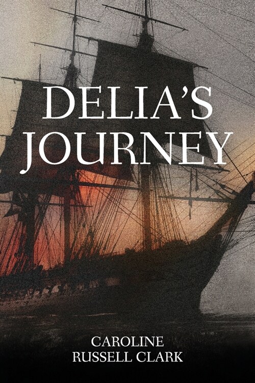 Delias Journey (Paperback)