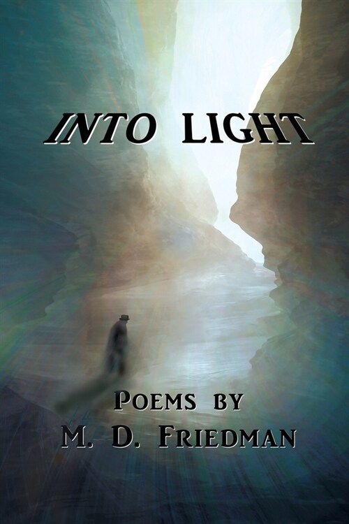 Into Light: Poems by M. D. Friedman (Paperback)