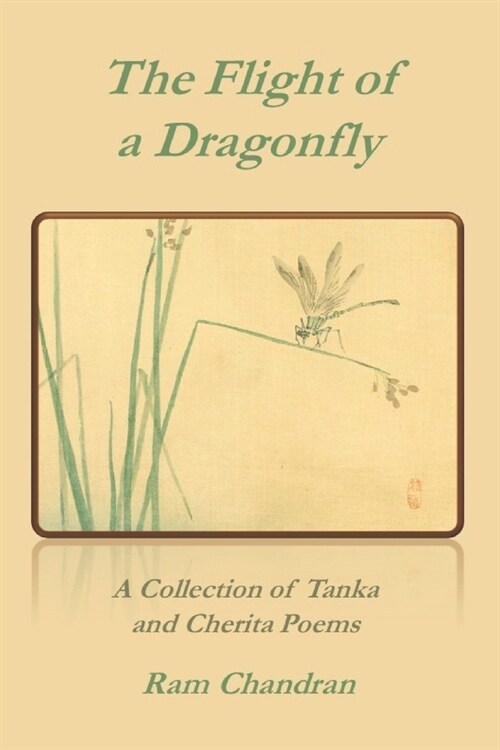 The Flight of a Dragonfly (Paperback)