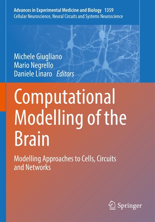 Computational Modelling of the Brain: Modelling Approaches to Cells, Circuits and Networks (Paperback, 2022)